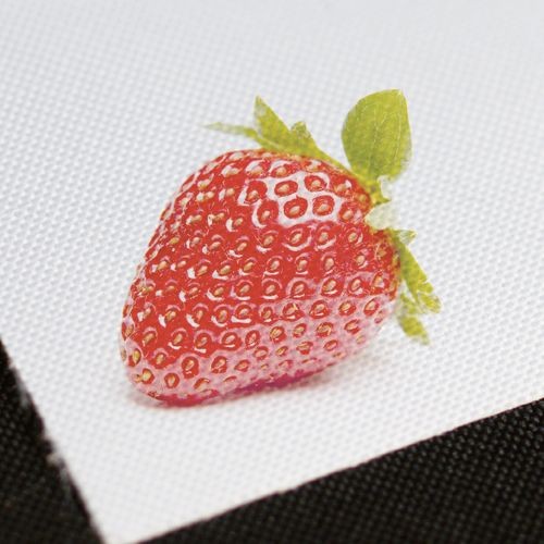 GUNOLD CANVAY - tkanina aplikacyjna.jpg