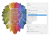 lion tabela.png